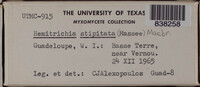 Image Associated With the Occurence